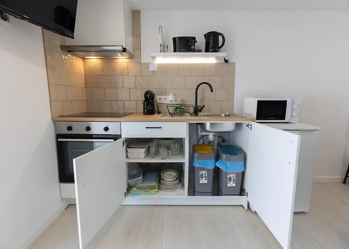 Ti Choa - Ninho Dos Avos Arrumos *